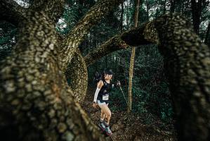 BIB: 
                            <button type="button" onclick="openModal(25703136)" class="btn btn-primary btn-sm float-right btn-popup" data-toggle="modal" data-target=".modal-high-quality">
                        <i class="fas fa-shopping-cart"></i> Add to Cart
                    </button>
                                            <button type="button" onclick="isThisMe(25703136, true)" class="btn btn-success btn-sm float-right btn-popup btn-isme hidden" data-toggle="tooltip" data-placement="bottom" title="นี่คือรูปของคุณใช่ไหม คลิกที่นี่เพื่อเอาเข้าอัลบั้ม">
                        <i class="fas fa-plus"></i> Add to album
                    </button>
                    <button type="button" onclick="isThisMe(25703136, false)" class="btn btn-warning btn-sm float-right btn-popup btn-isnotme hidden">
                        <i class="fas fa-ban"></i> Remove from album
                    </button>